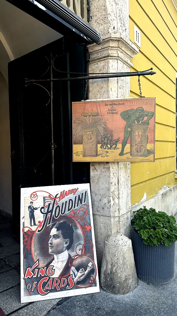 mira.0004 image ~ Altpins