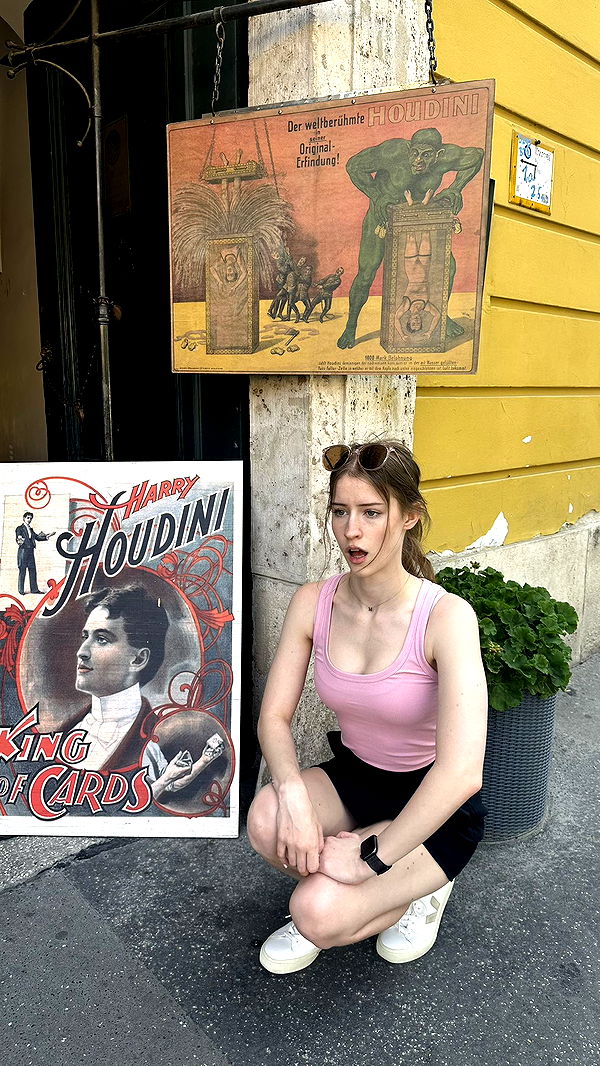 mira.0004 image ~ Altpins