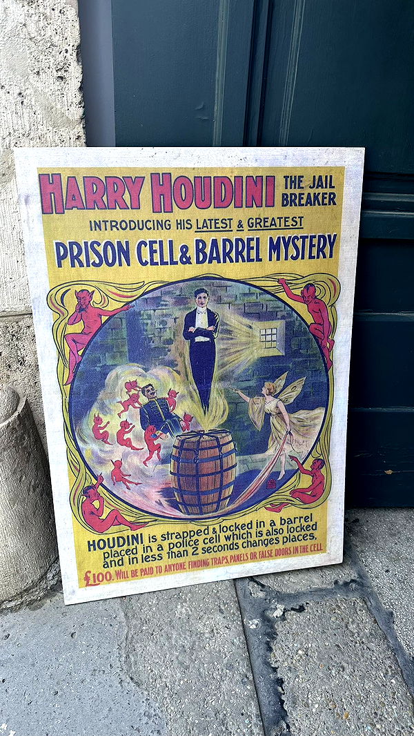 mira.0004 image ~ Altpins