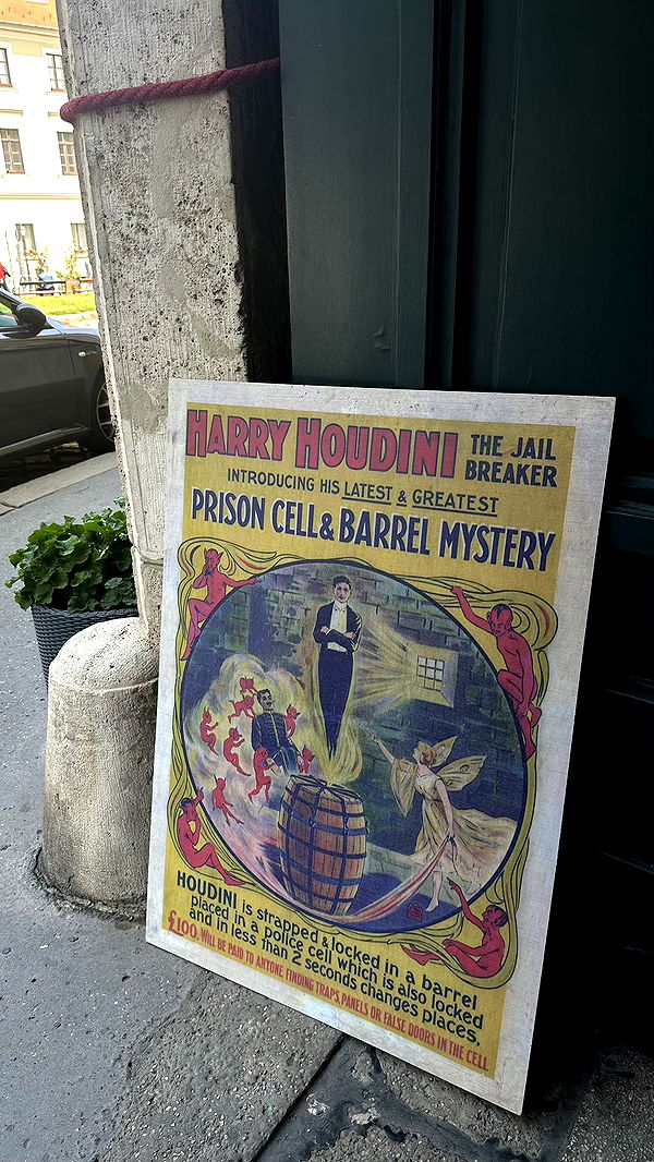 mira.0004 image ~ Altpins