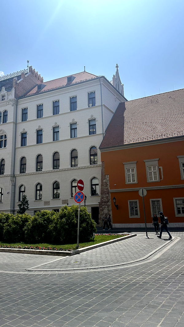 mira.0004 image ~ Altpins