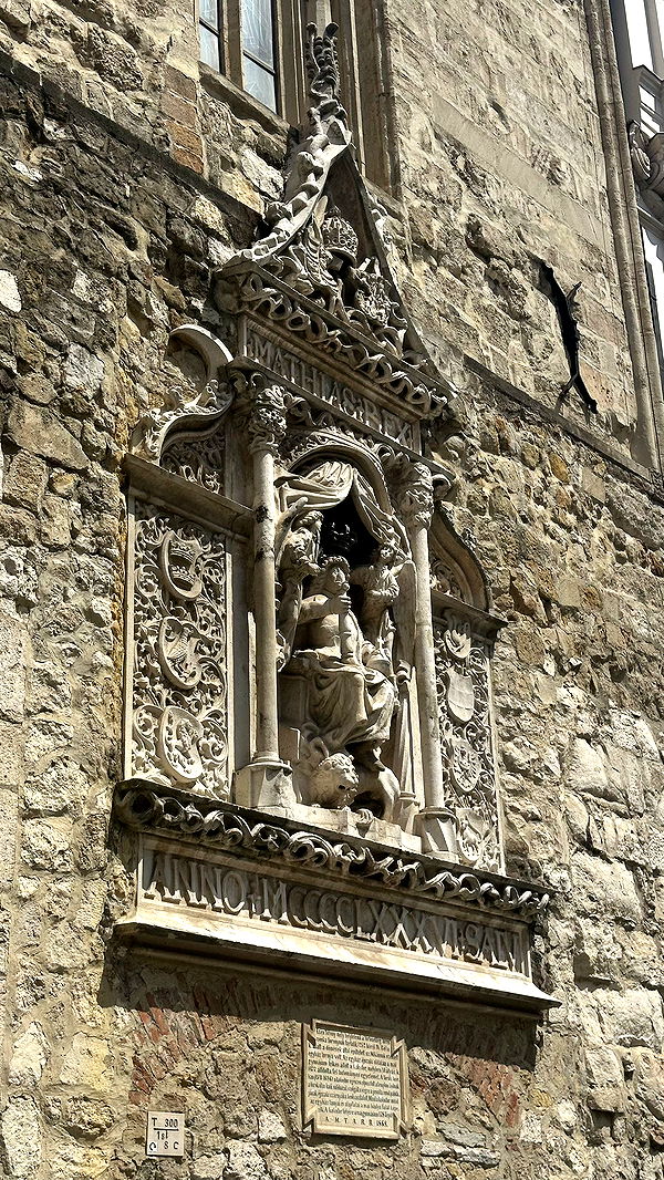 mira.0004 image ~ Altpins