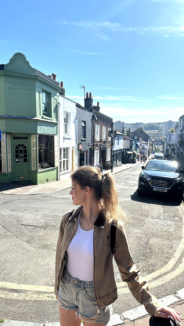 mira.0004 image ~ Altpins