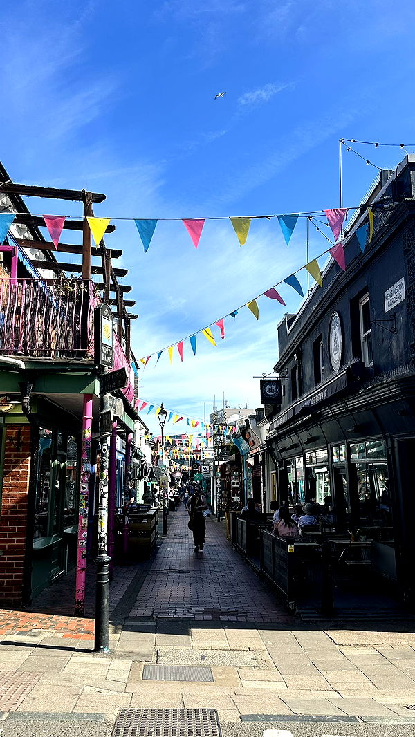 mira.0004 image ~ Altpins