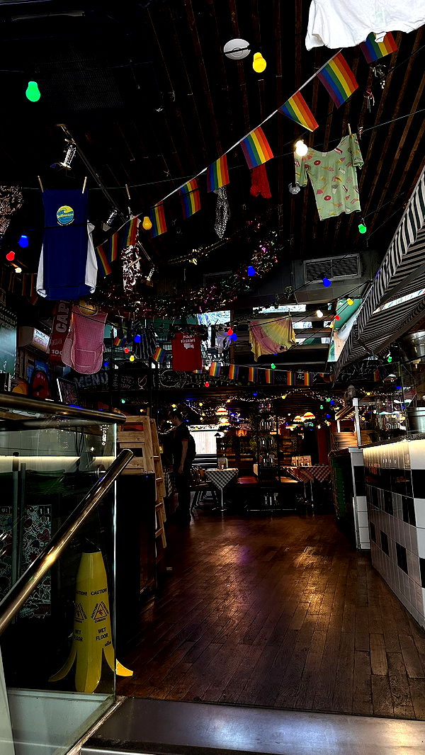 mira.0004 image ~ Altpins