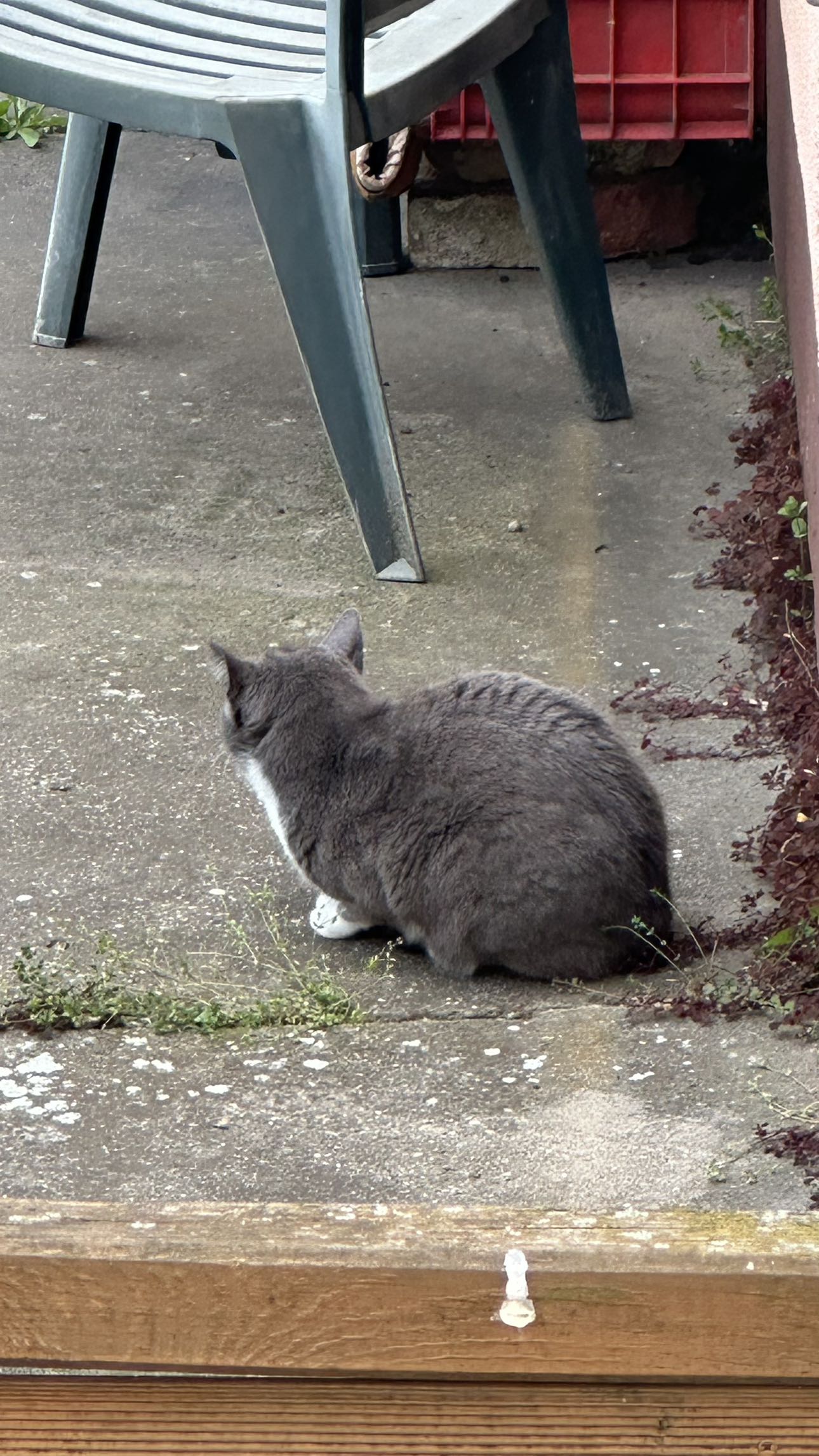 mira.0004 snapchat image archive image