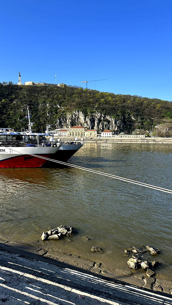 mira.0004 image ~ Altpins