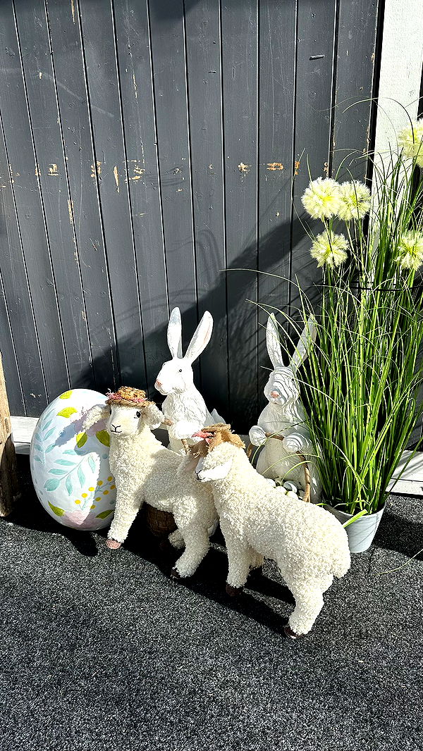 mira.0004 image ~ Altpins