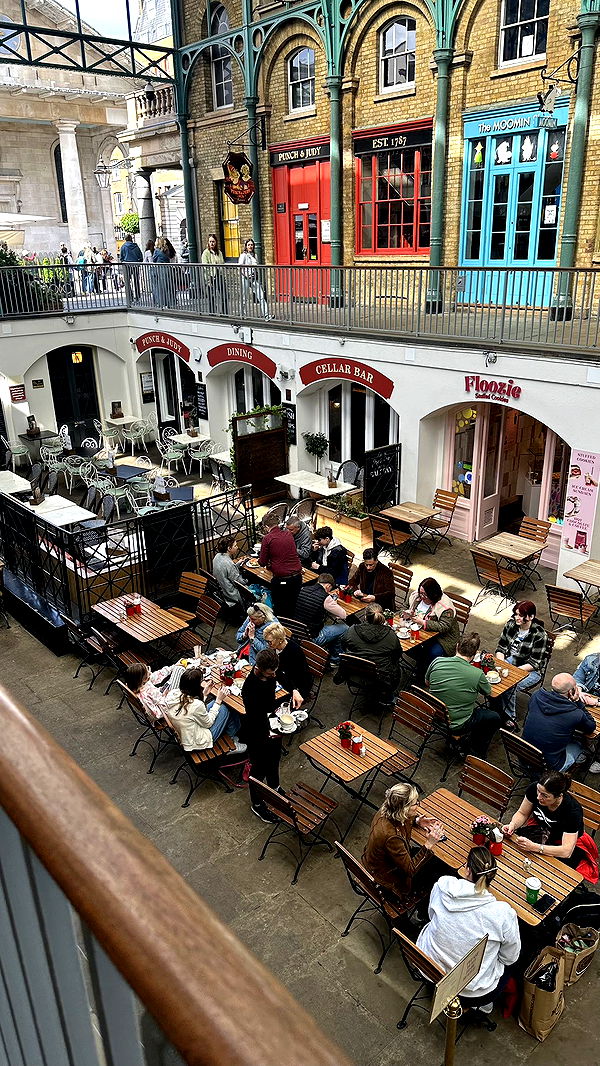 mira.0004 image ~ Altpins