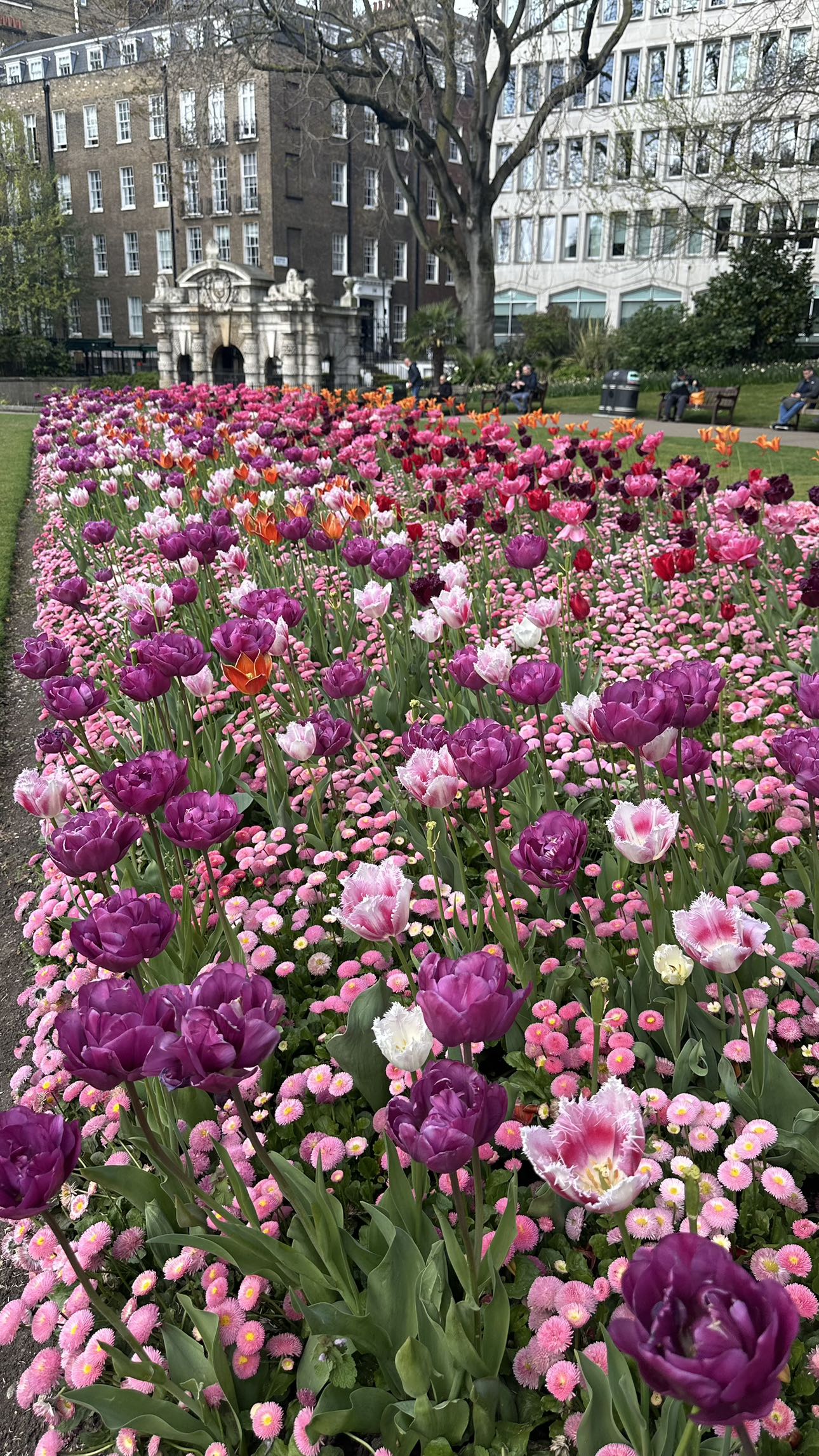 mira.0004 snapchat image archive image