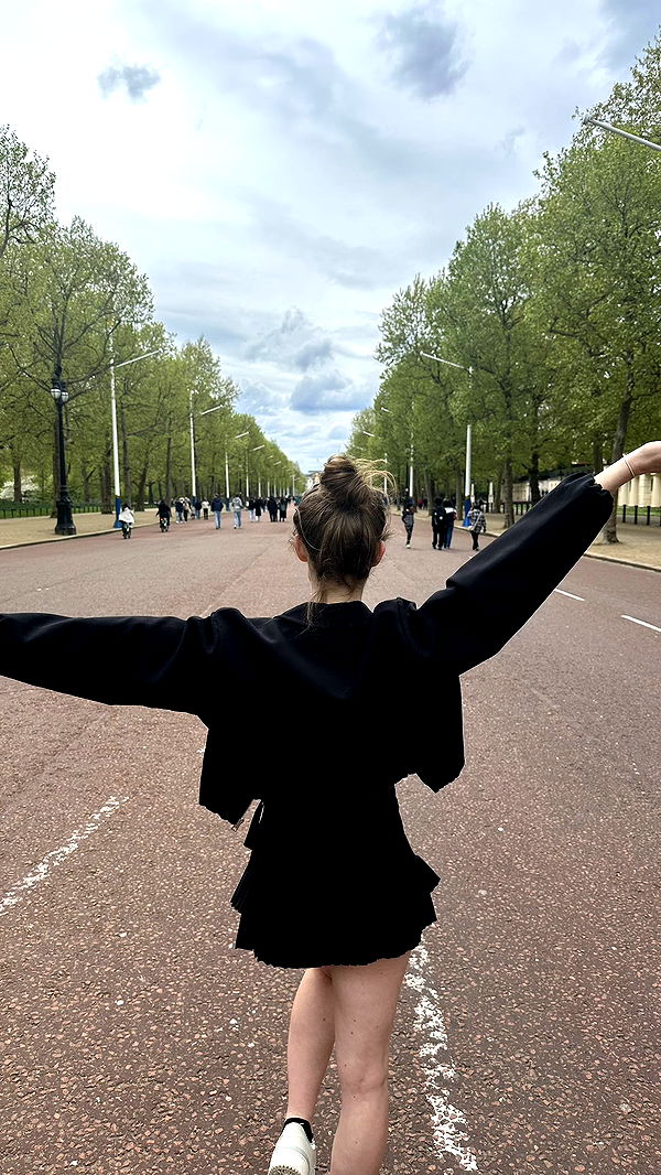 mira.0004 image ~ Altpins