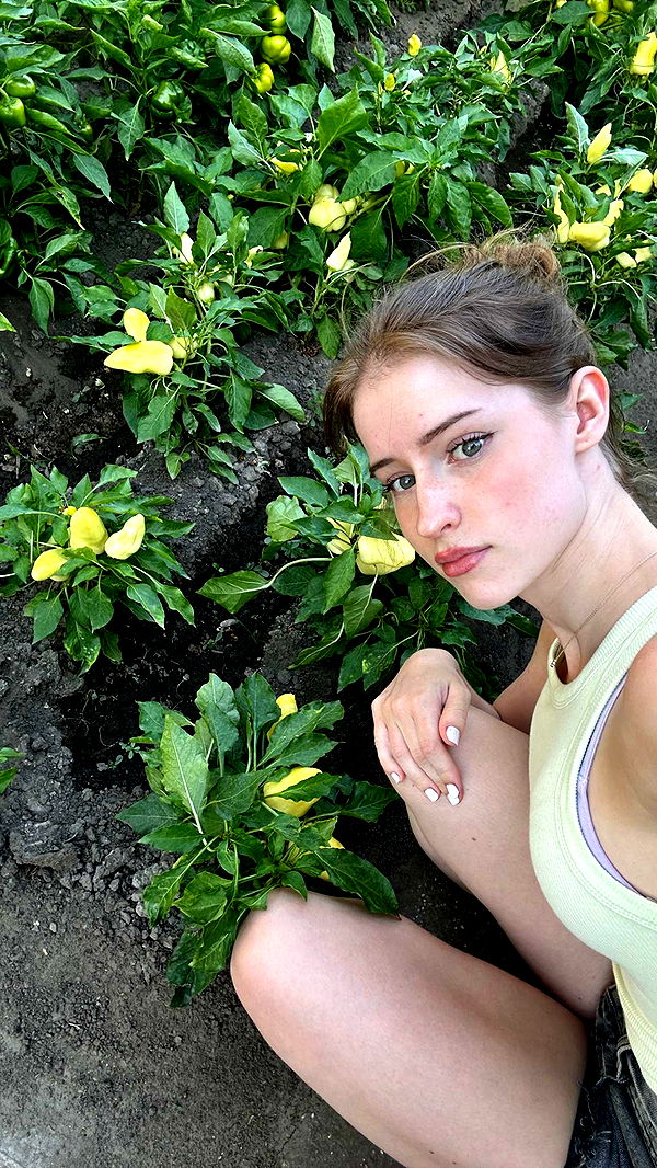 mira.0004 image ~ Altpins