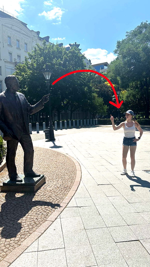 mira.0004 image ~ Altpins