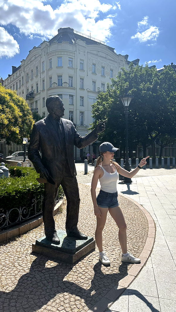 mira.0004 image ~ Altpins