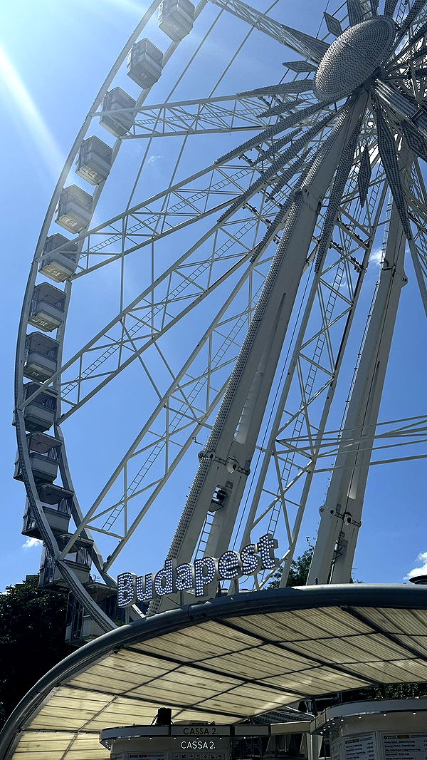 mira.0004 image ~ Altpins