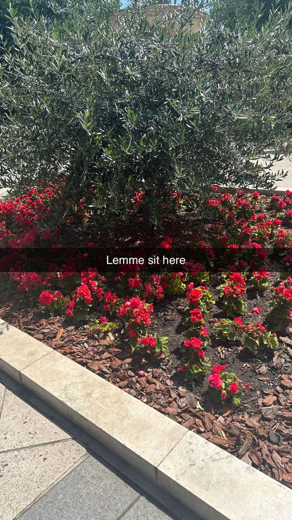 mira.0004 snapchat image archive image