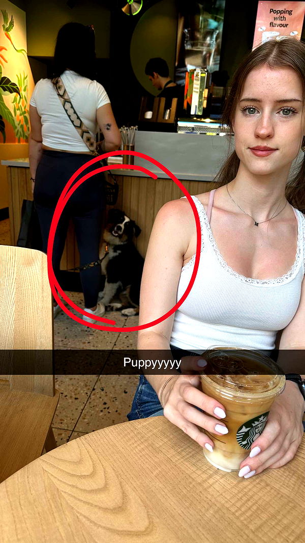 mira.0004 image ~ Altpins