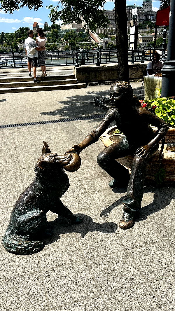 mira.0004 image ~ Altpins