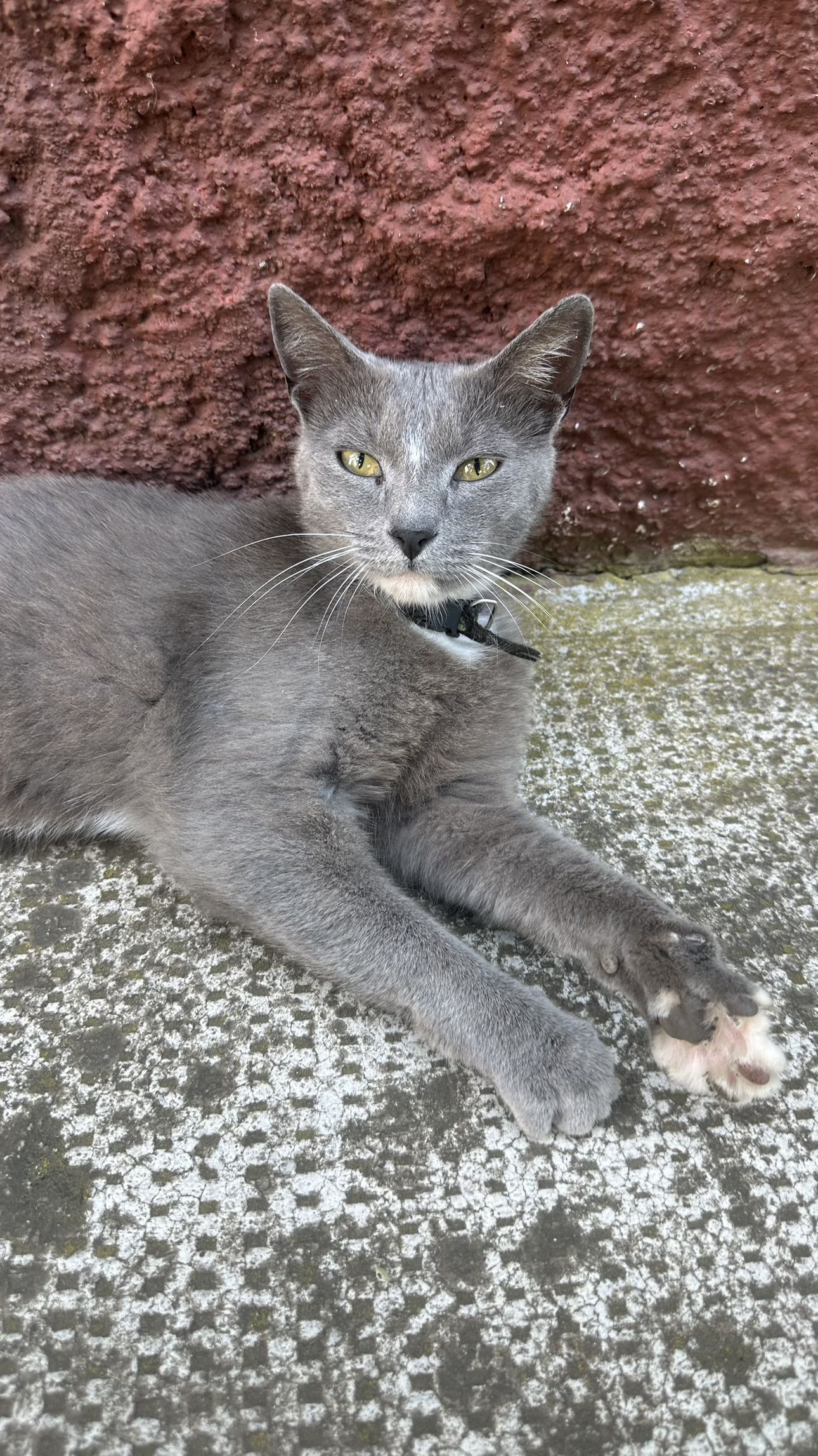 mira.0004 snapchat image archive image