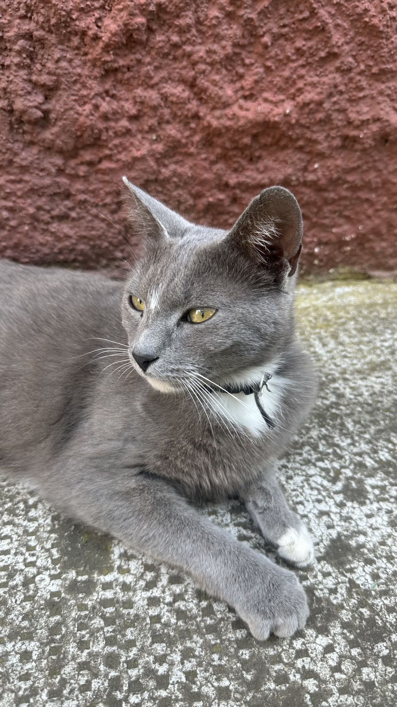 mira.0004 snapchat image archive image