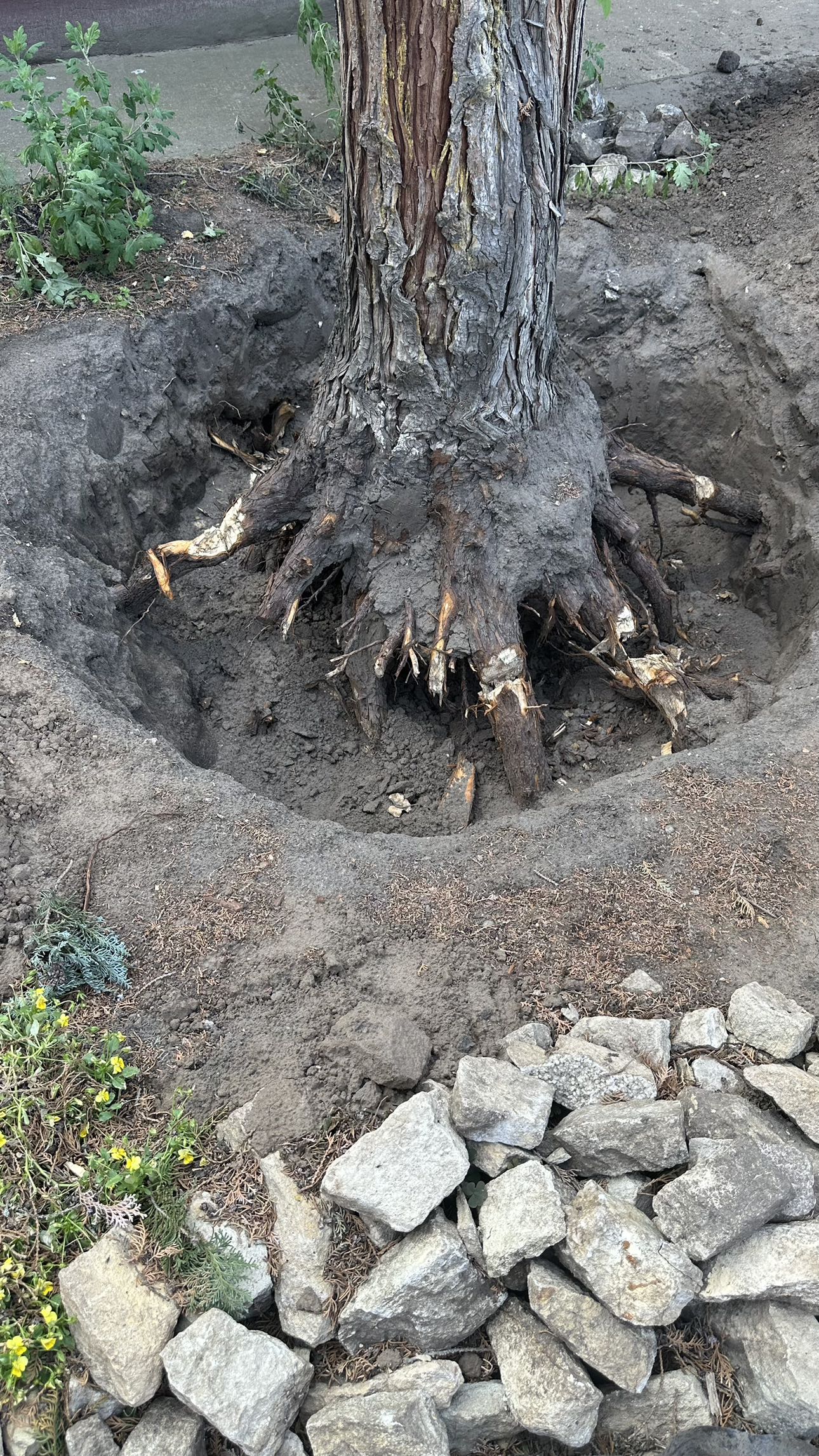 mira.0004 snapchat image archive image