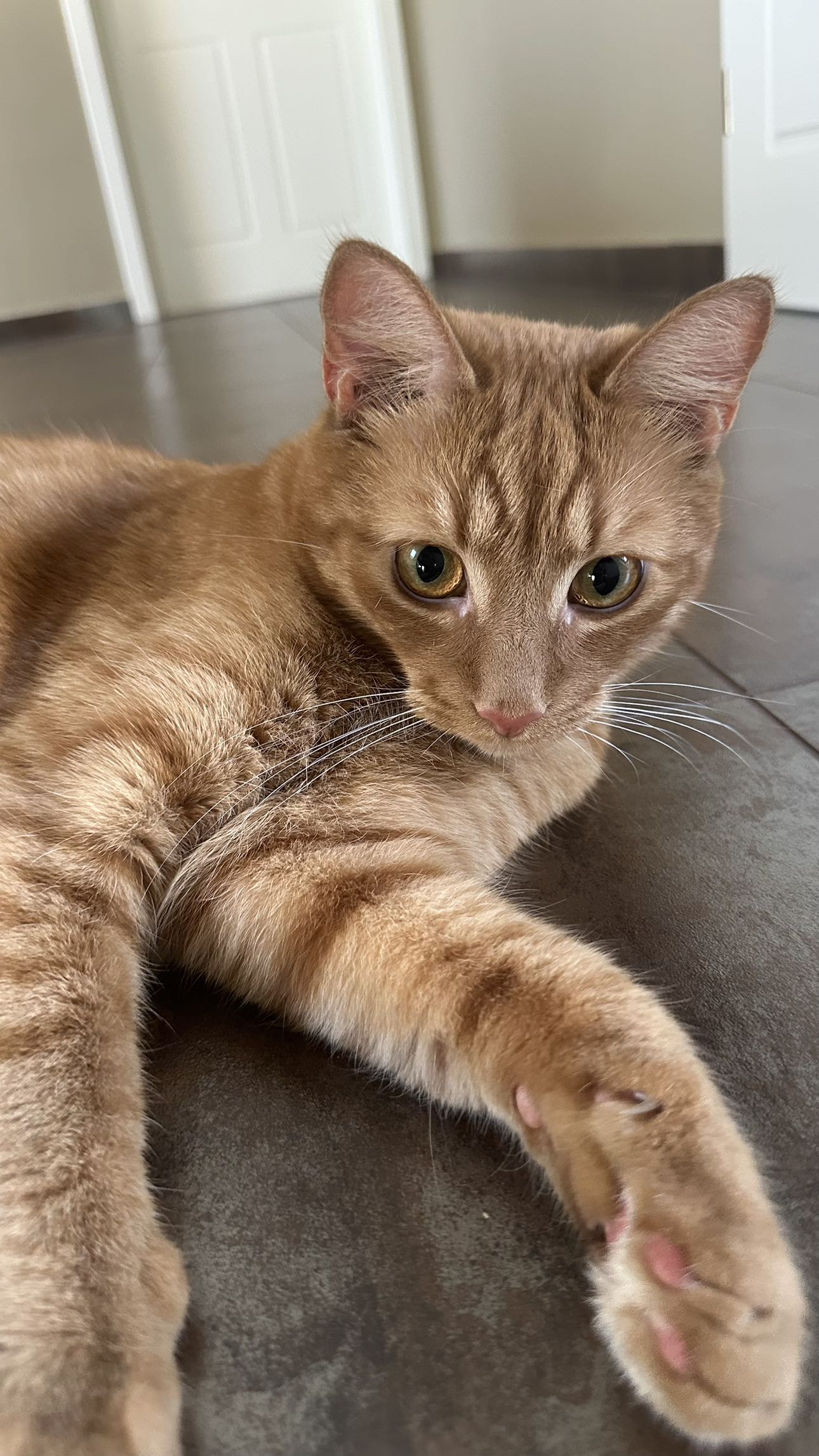 mira.0004 snapchat image archive image