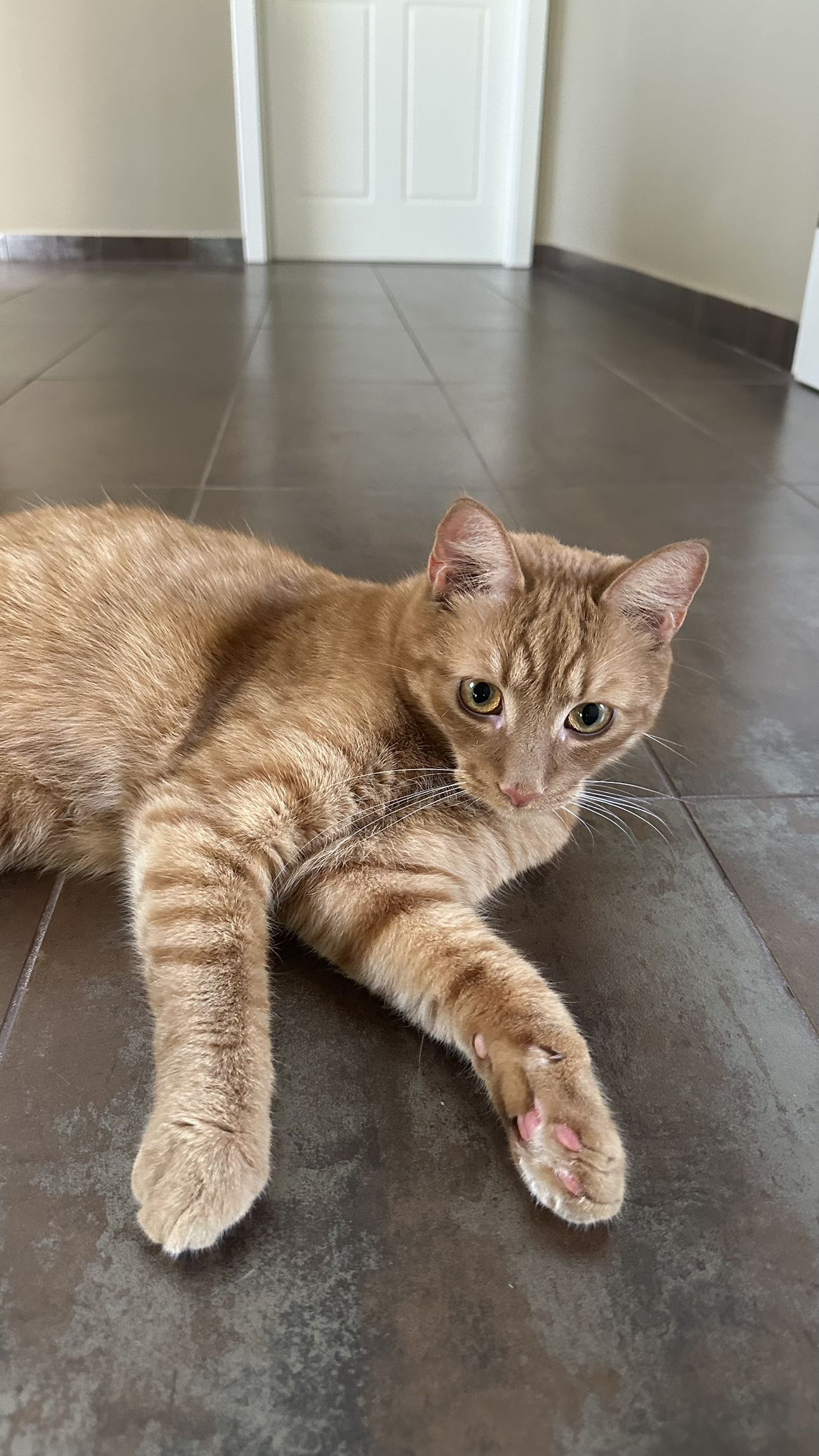 mira.0004 snapchat image archive image