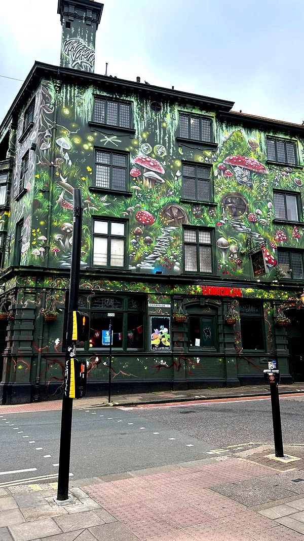 mira.0004 image ~ Altpins