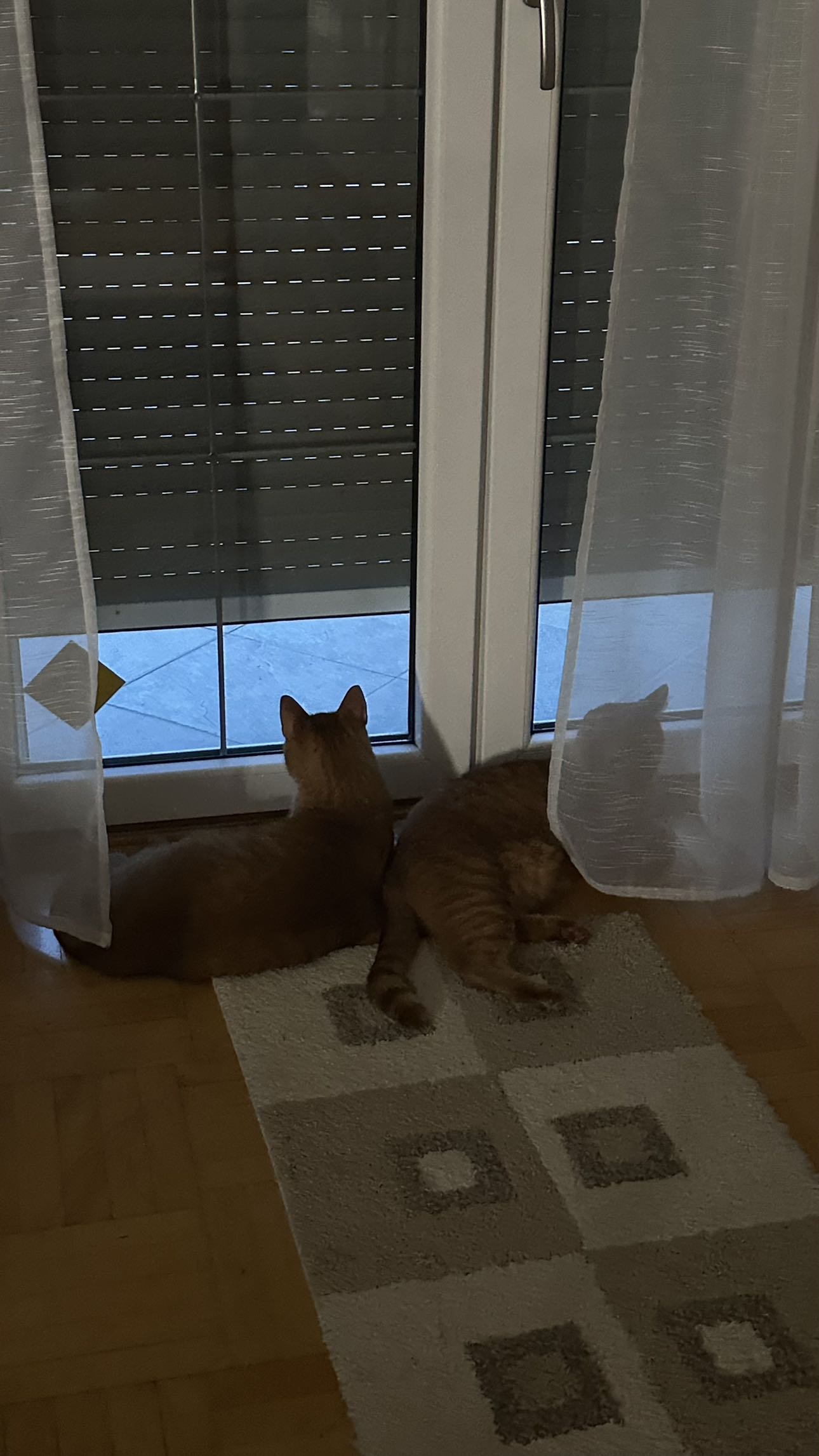 mira.0004 snapchat image archive image