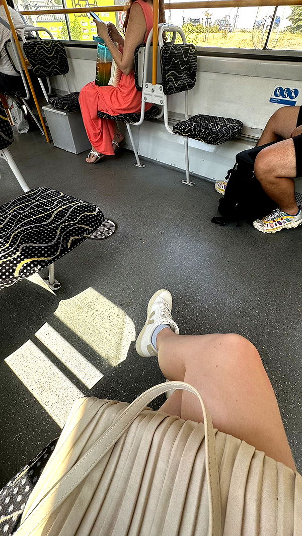 mira.0004 image ~ Altpins