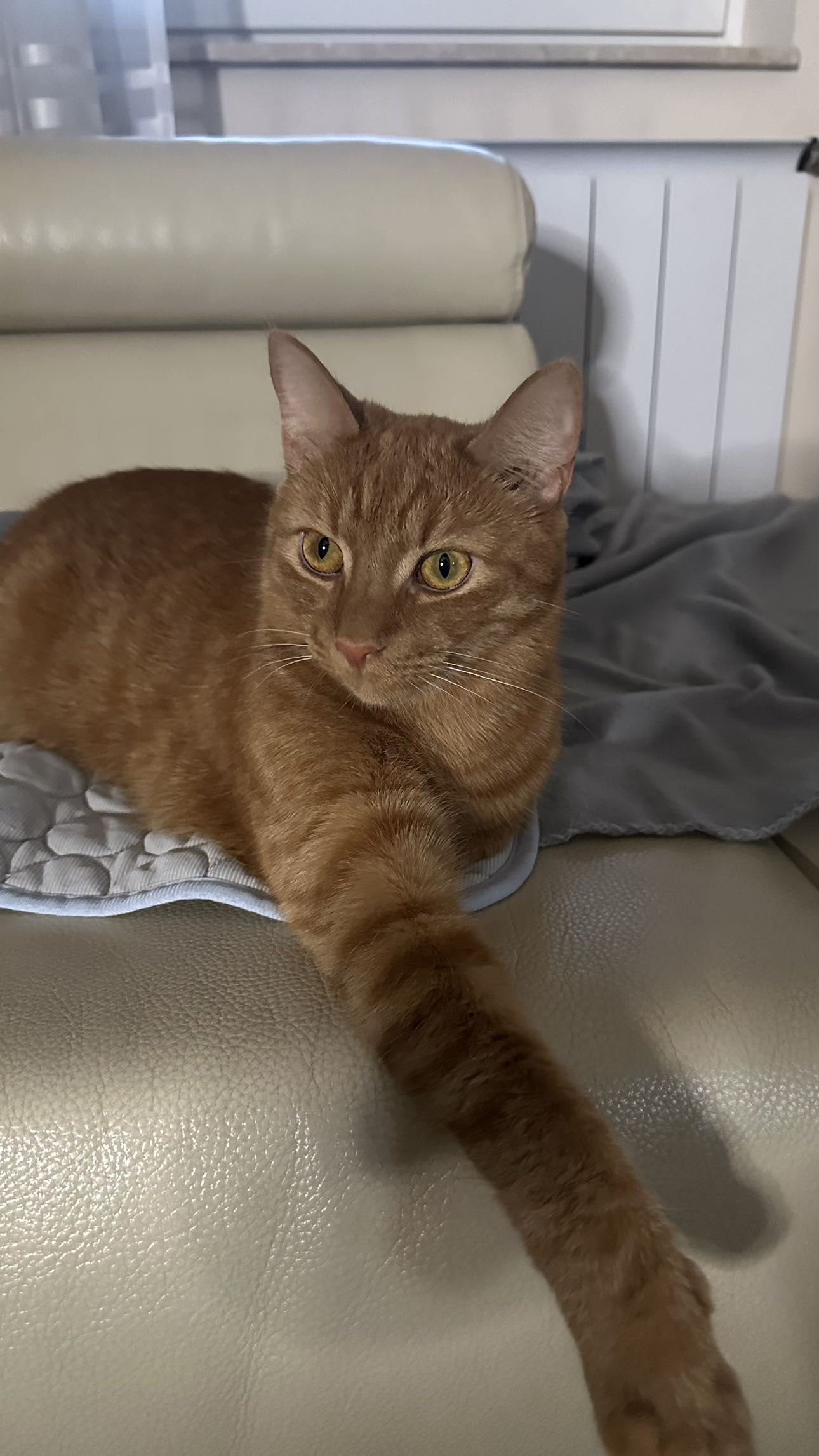 mira.0004 snapchat image archive image