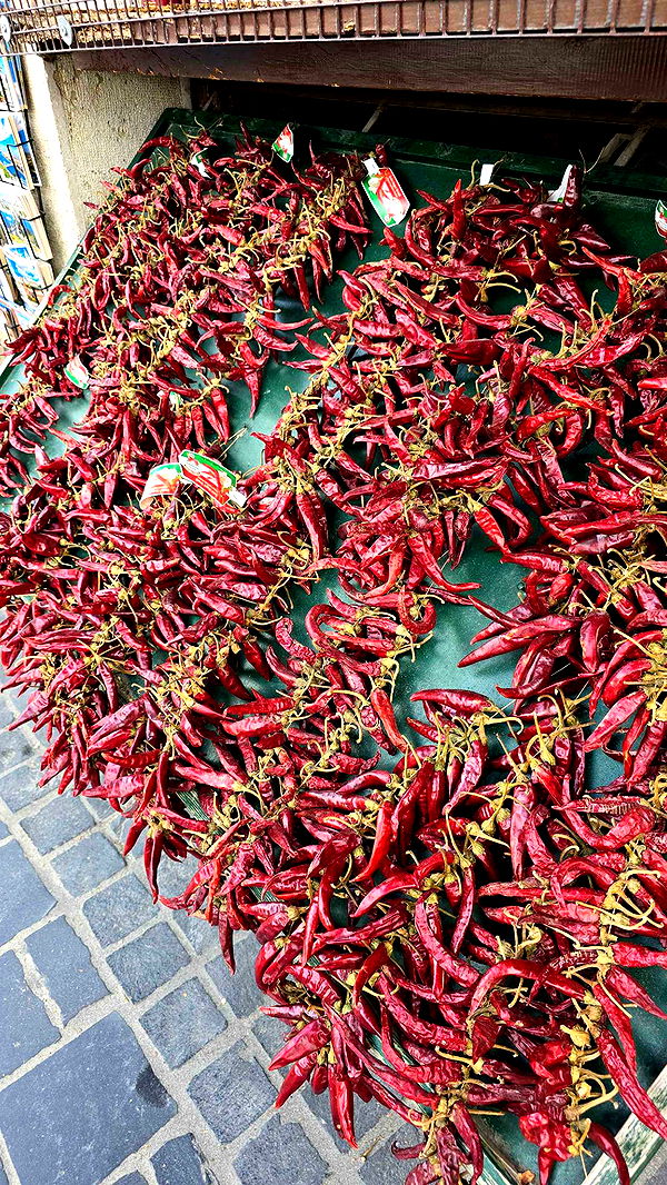 mira.0004 image ~ Altpins