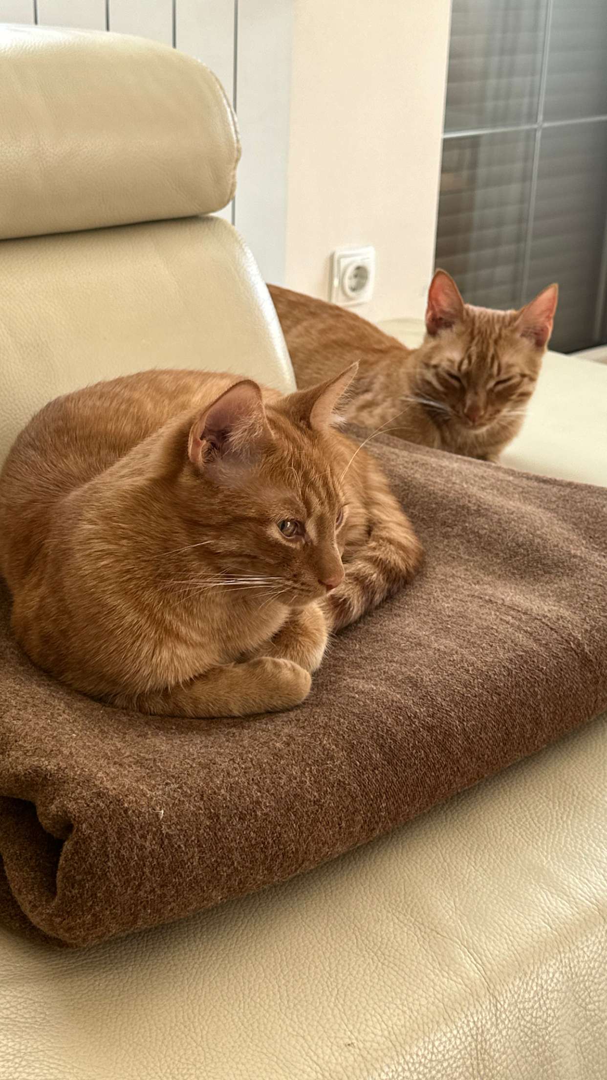 mira.0004 snapchat image archive image