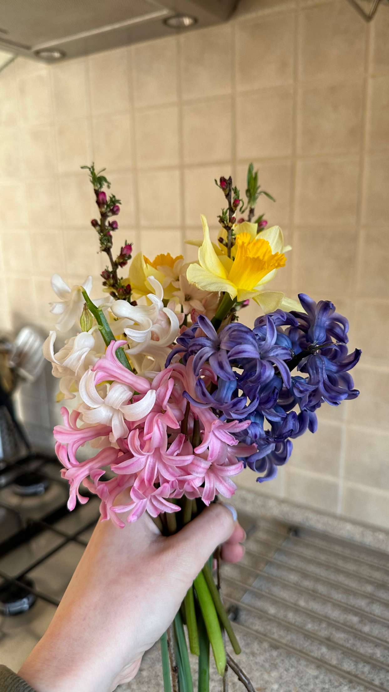 mira.0004 snapchat image archive image