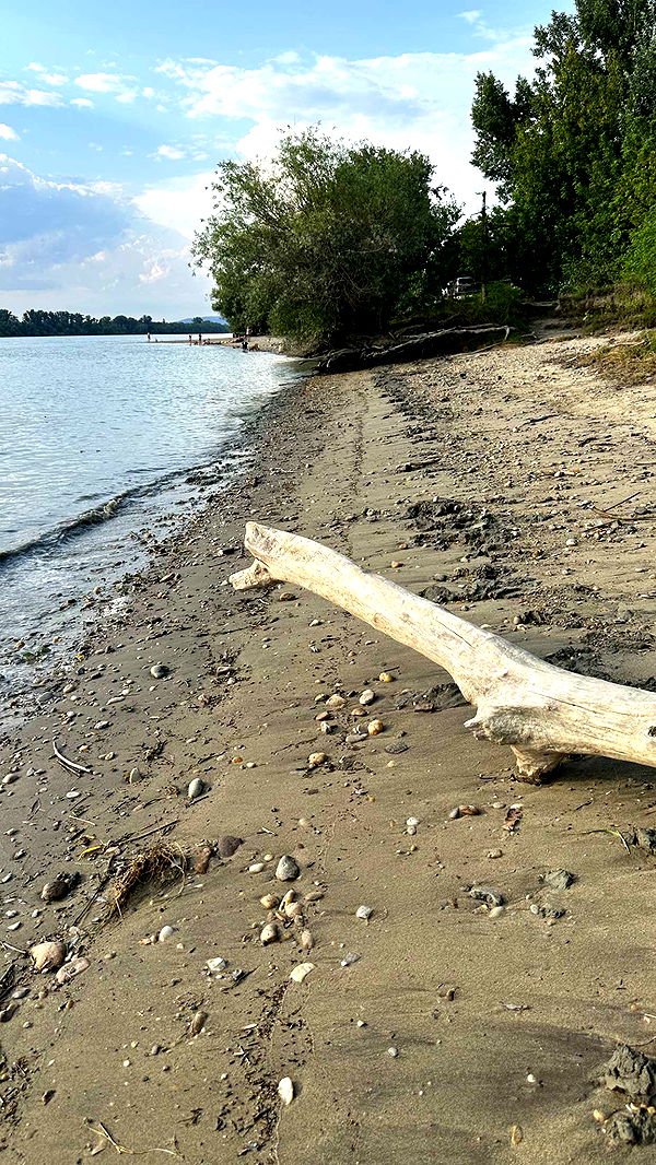 mira.0004 image ~ Altpins