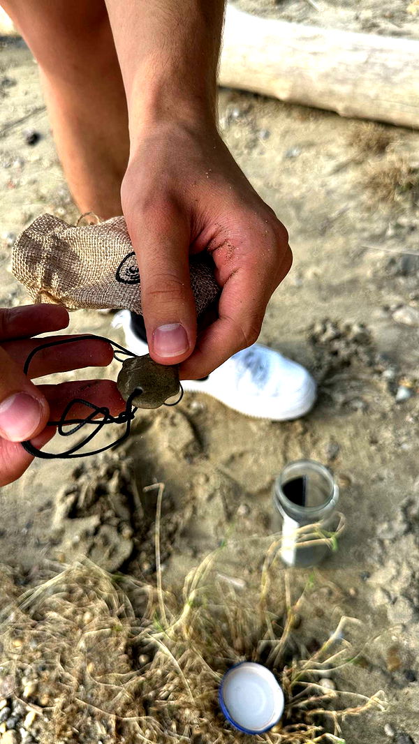 mira.0004 image ~ Altpins