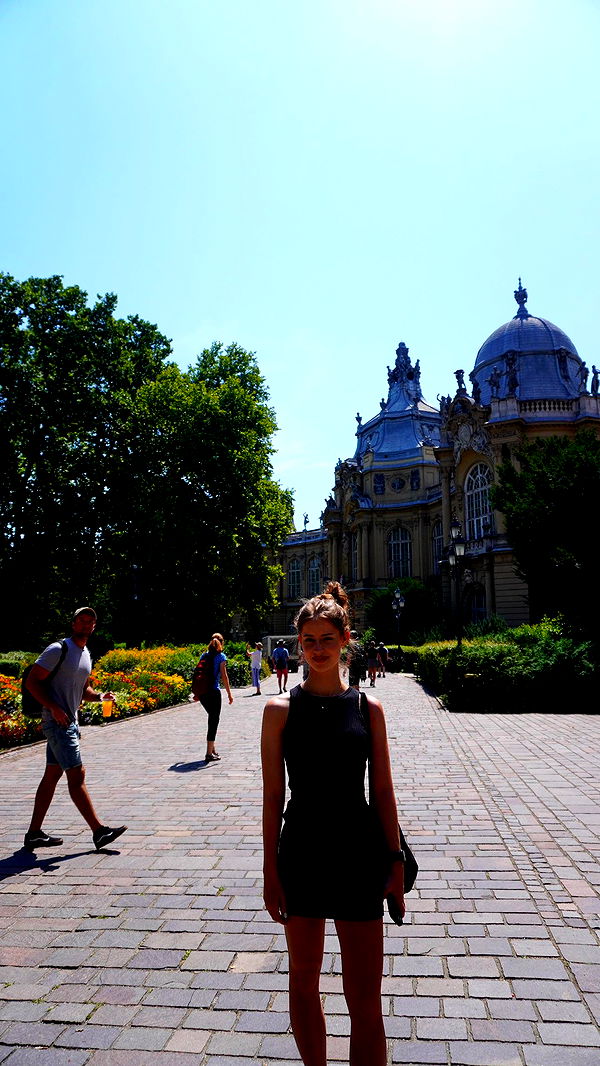 mira.0004 image ~ Altpins