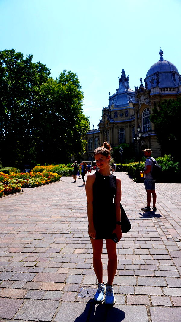 mira.0004 image ~ Altpins