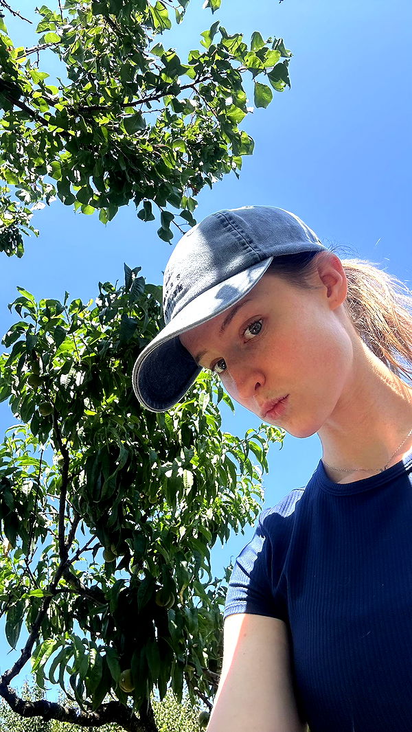 mira.0004 image ~ Altpins