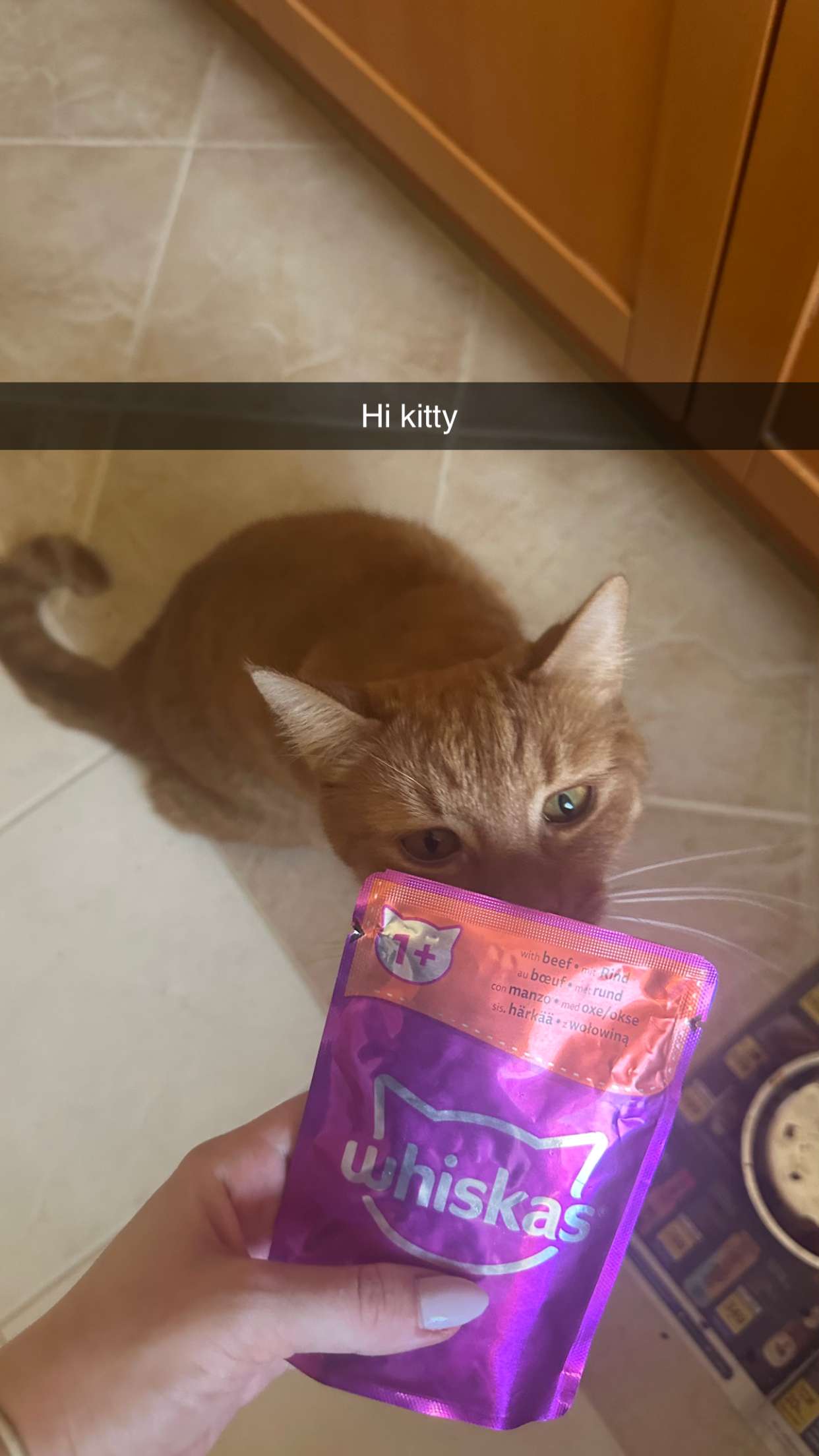 mira.0004 snapchat image archive image