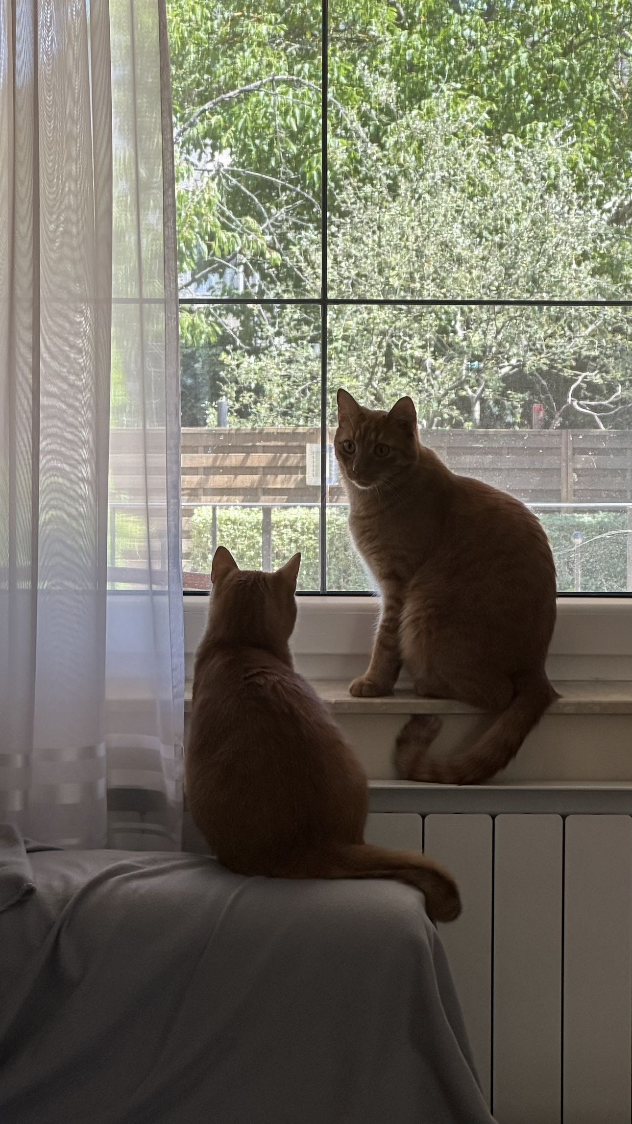 mira.0004 snapchat image archive image