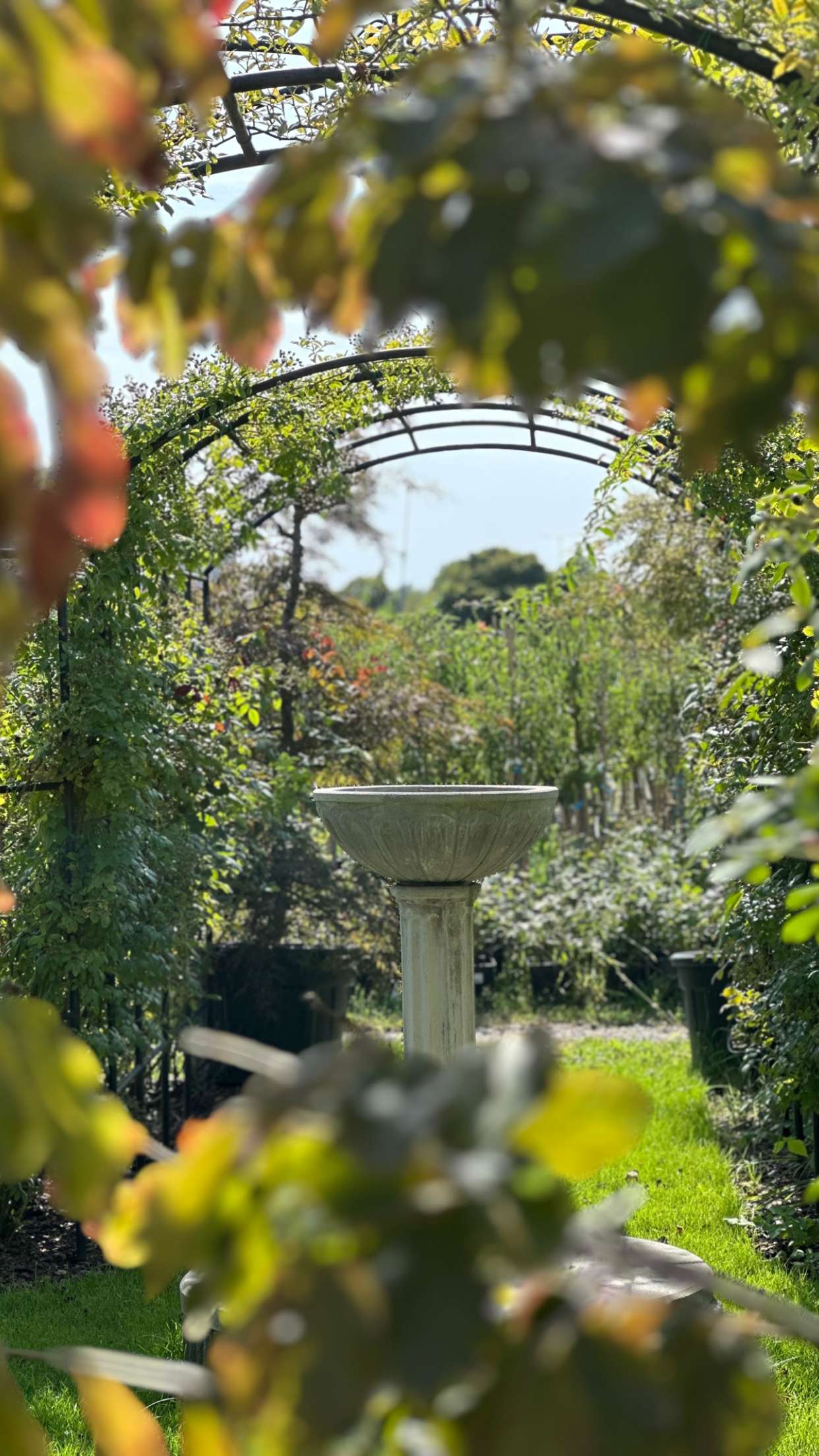 mira.0004 snapchat image archive image