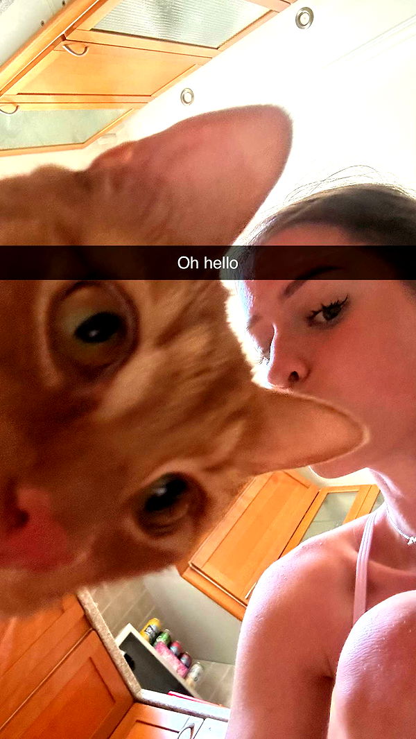 mira.0004 image ~ Altpins