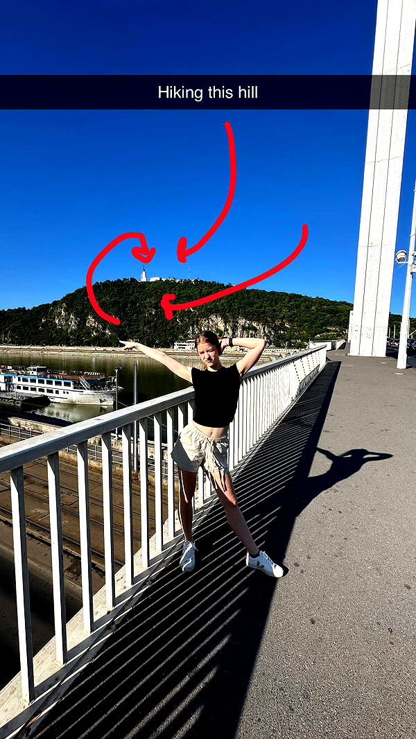 mira.0004 image ~ Altpins