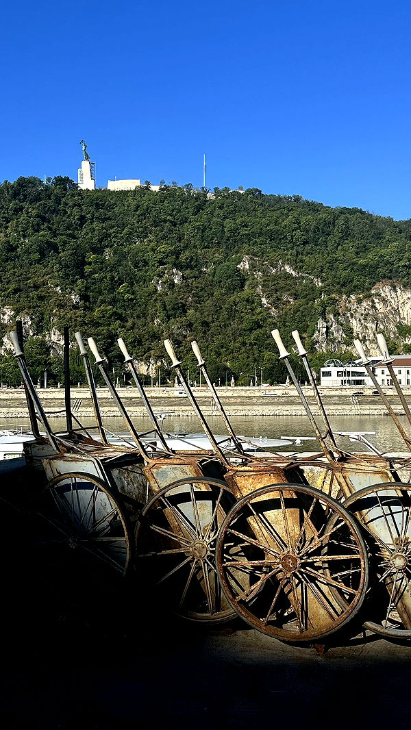 mira.0004 image ~ Altpins