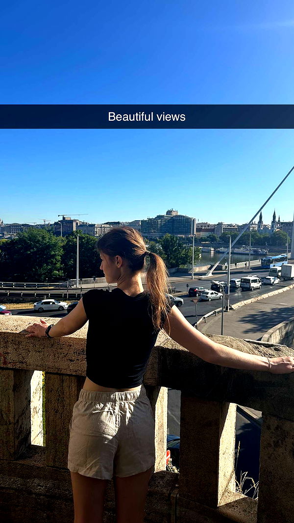 mira.0004 image ~ Altpins