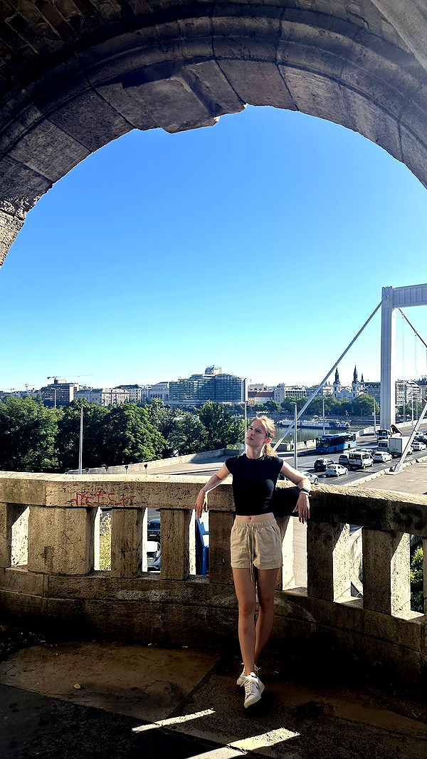 mira.0004 image ~ Altpins