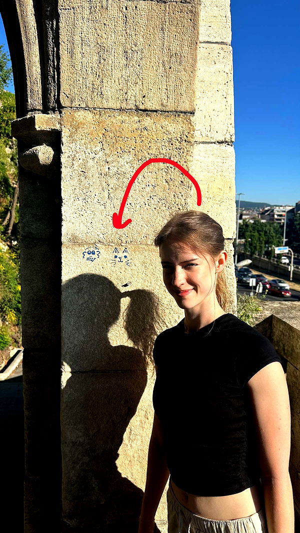 mira.0004 image ~ Altpins