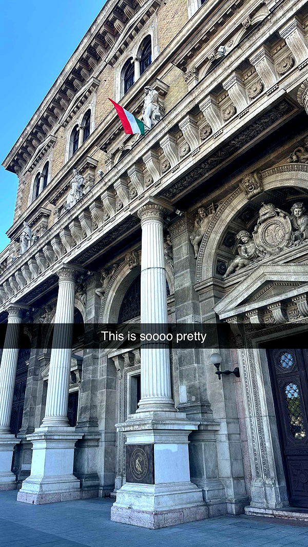 mira.0004 image ~ Altpins