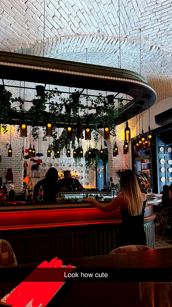 mira.0004 image ~ Altpins